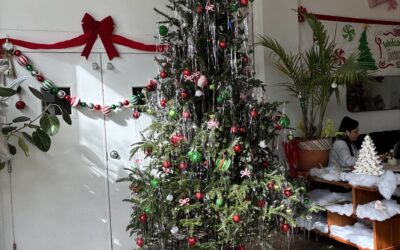 1000 cans: Intermezzo Review